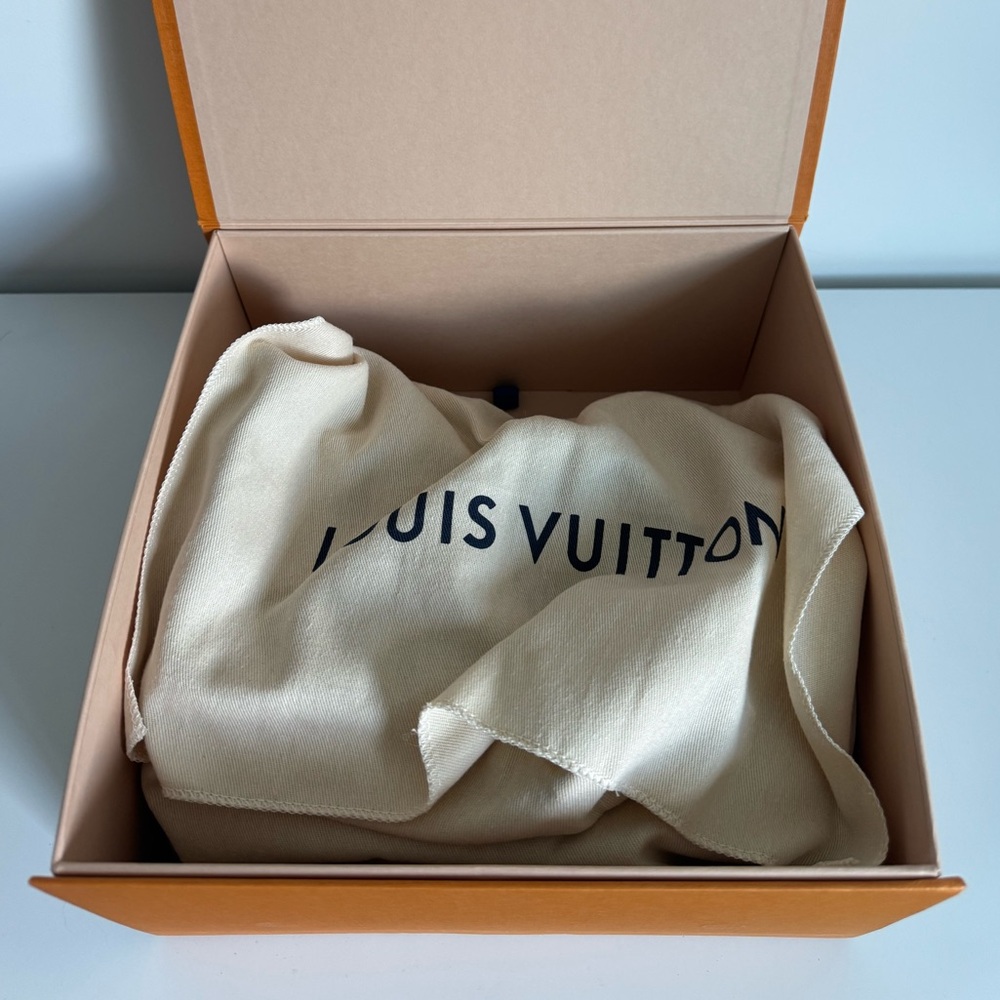 Louis Vuitton Monogram Saintonge in Creme Bag - Picture 5 of 7